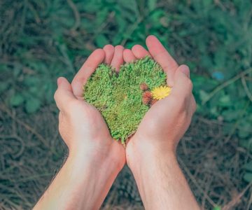 Hands in a natural setting holding heart-shaped moss, symbolizing love for nature.